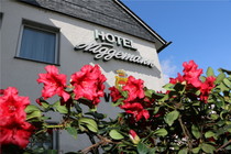 Hotel Niggemann